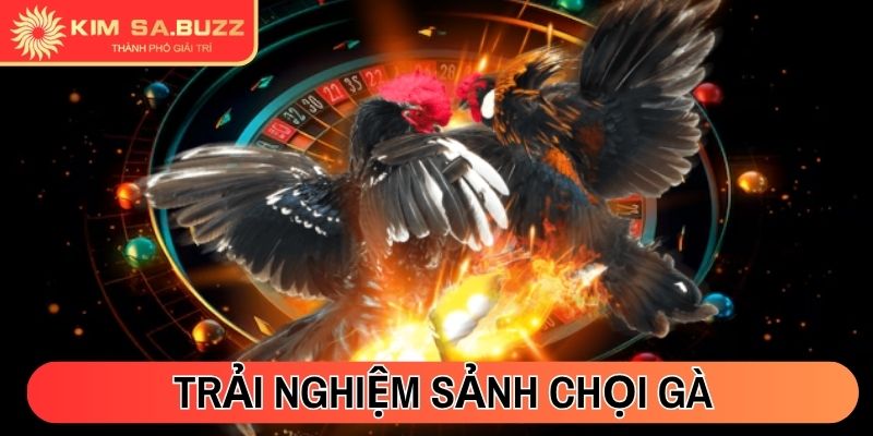 Trải nghiệm sảnh Chọi Gà